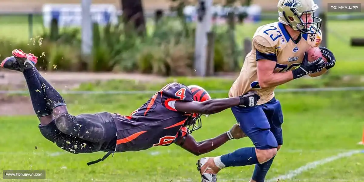 DB电竞官方网站🧗‍♂️向上攀登，向下扎根 —— 用运动的力量，解锁人生新高度！